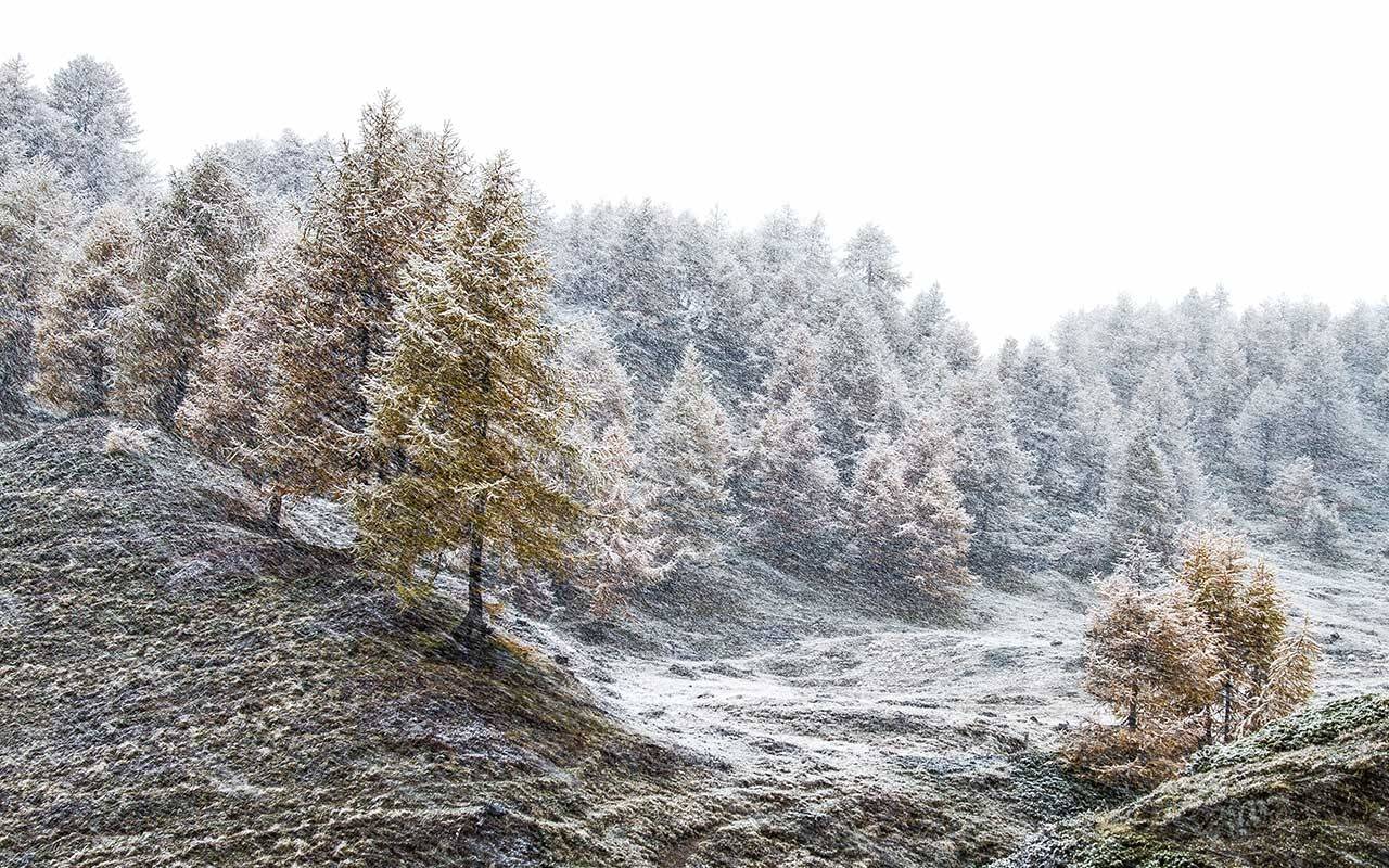 Inverno
